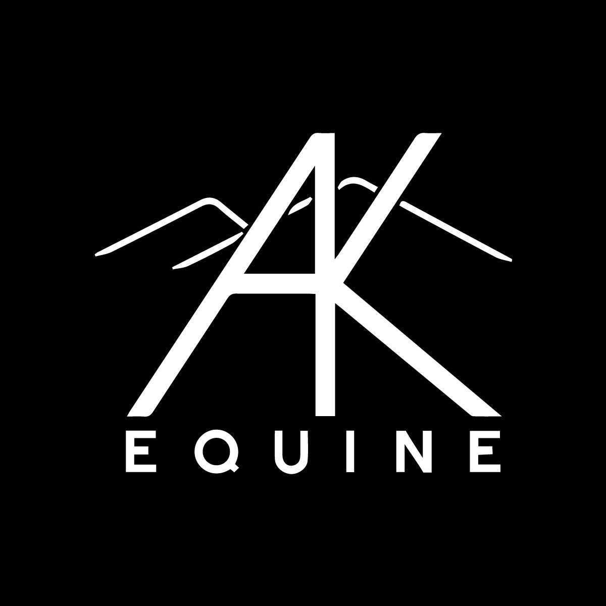 AK EQUINE - Under Armour® Locker 2.0 Long Sleeve Performance Tee